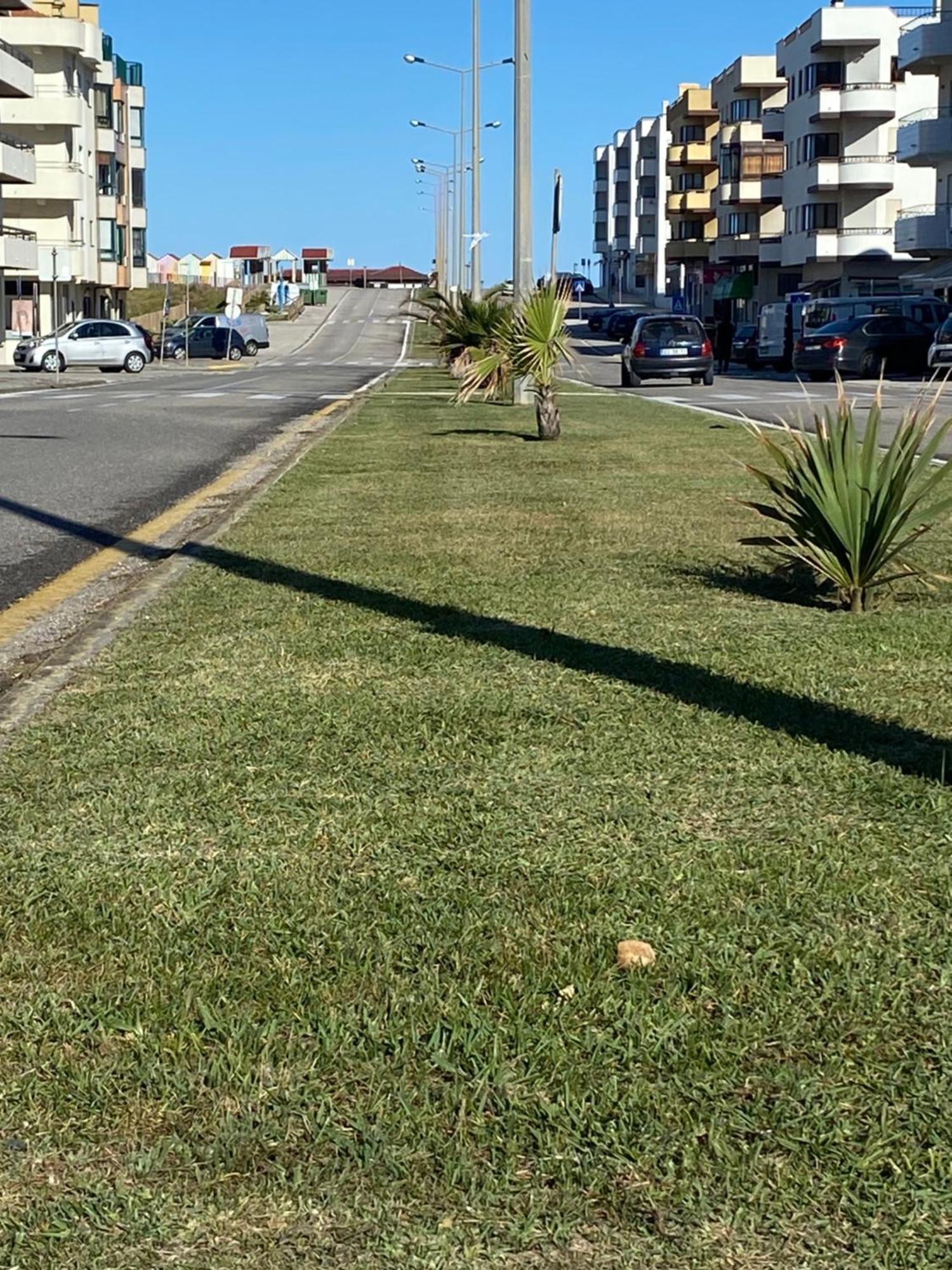 Apartamento Vista Mar Vieira de Leiria Eksteriør billede